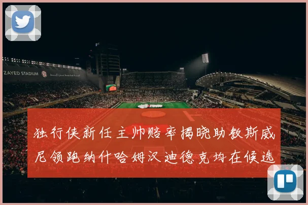 独行侠新任主帅赔率揭晓助教斯威尼领跑纳什哈姆汉迪德克均在候选之中