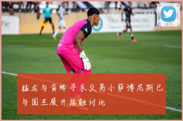 猛龙与黄蜂寻求交易小萨博尼斯已与国王展开接触讨论