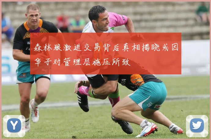 森林狼激进交易背后真相揭晓或因华子对管理层施压所致